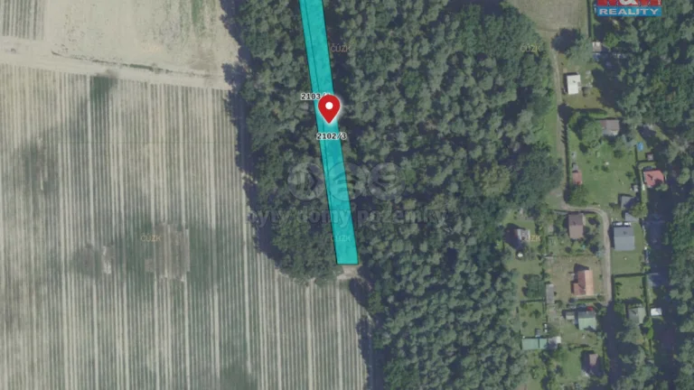Prodej lesa, 1540 m², Sadská