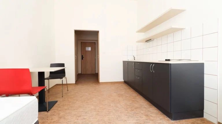 Pronájem, Byty 1+kk, 24m2 - Praha - Smíchov, ev.č. S2632