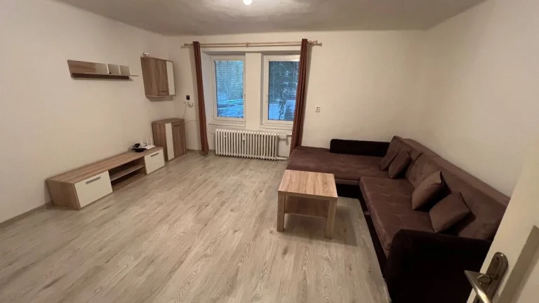 Slnečný veľký 1-izbový byt na predaj