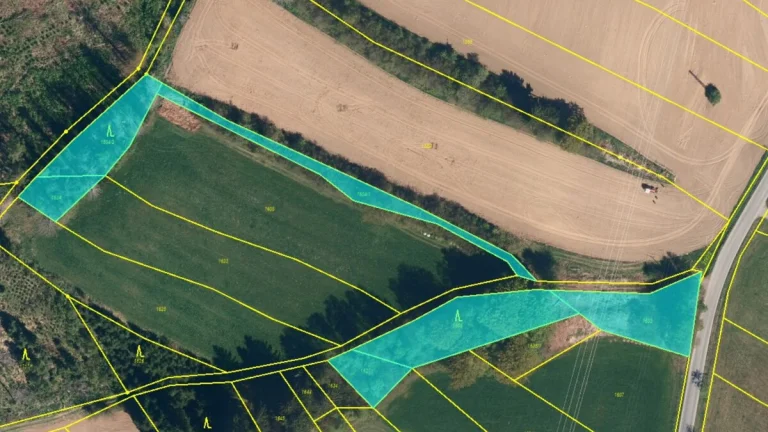 Lesní pozemek k.ú. Vyskytná 4.203m2