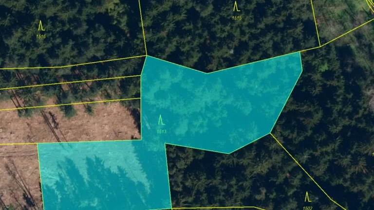 Lesní pozemek 5Kč/m2 k.ú. Velký Ježov 3.724m2