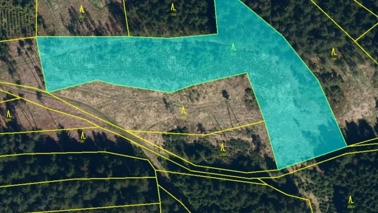 Lesní pozemek 5Kč/m2 k.ú. Velký Ježov 7.436m2