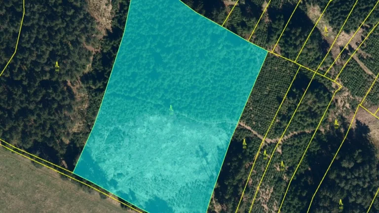Lesní pozemek 5Kč/m2 k.ú. Velký Ježov 17.919m2