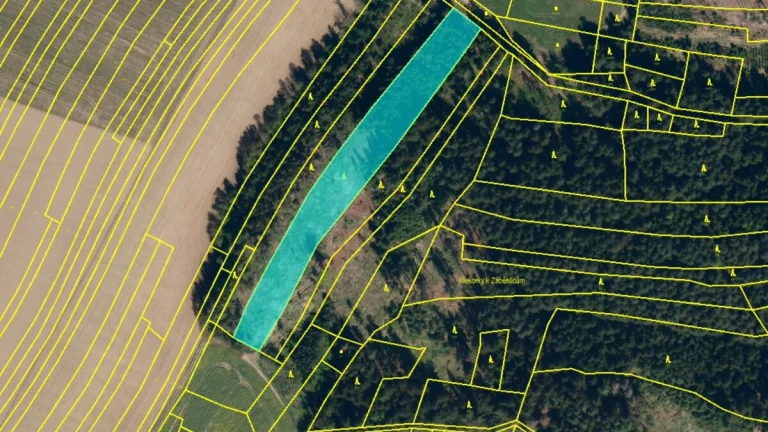 Lesní pozemek 5Kč/m2 k.ú. Velký Ježov 6.930m2
