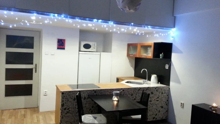Pronájem 1+kk, 33m2, Praha - Vršovice