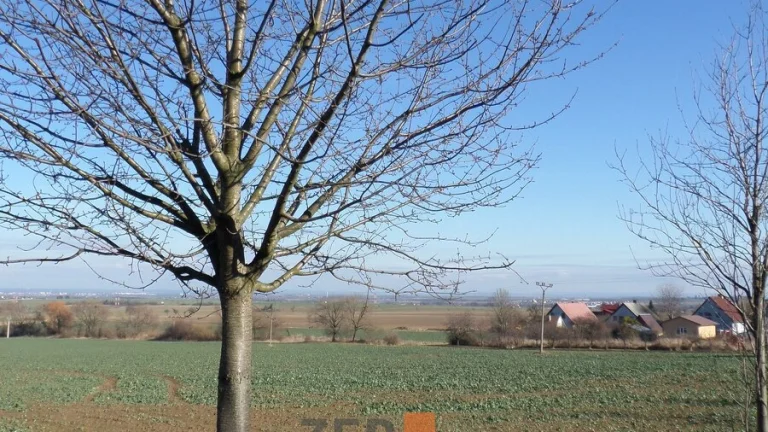 Prodej pozemky pro bydlení, 1 667 m2 - Heřmanův Městec - Cho