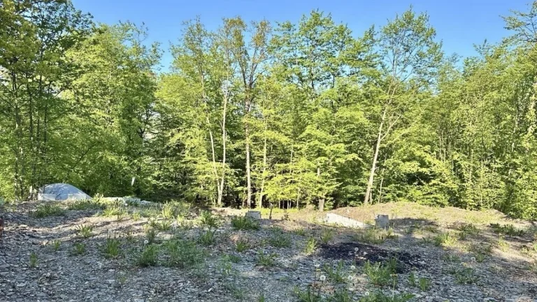 Prodej Stavebního pozemku, 1477 m2, Hradištko, Praha - Západ
