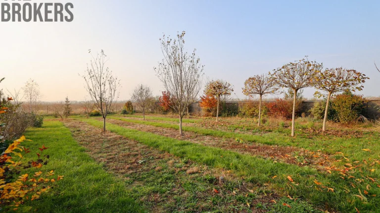 Prodej stavebního pozemku Jenišovice u Mělníka 801 m2