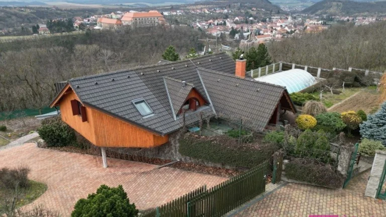 Prodej chaty s garáží, bazénem a zahradou, 6096 m2, Dolní Ko