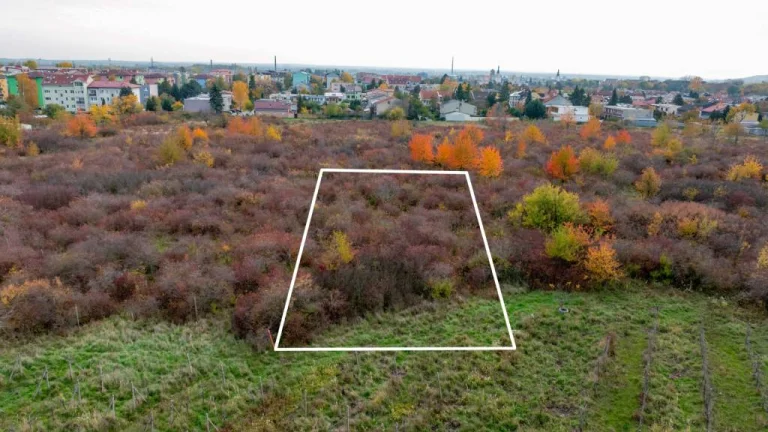 TOREA - BUDÚCI STAVEBNÝ POZEMOK NA PREDAJ - PEZINOK, MUŠKÁT