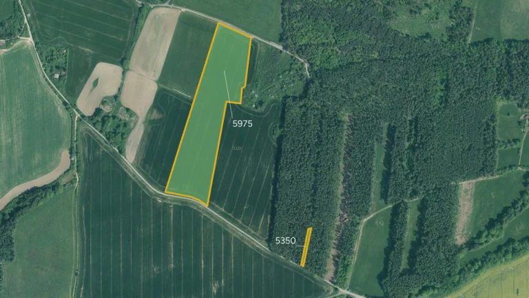 Zemědělská půda, prodej, Písecká Smoleč, Slabčice, Písek