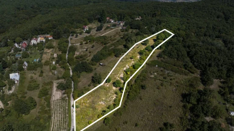 TOREA - POZEMOK NA PREDAJ - 5480 m2 - SVÄTÝ JUR, OKRES PEZI