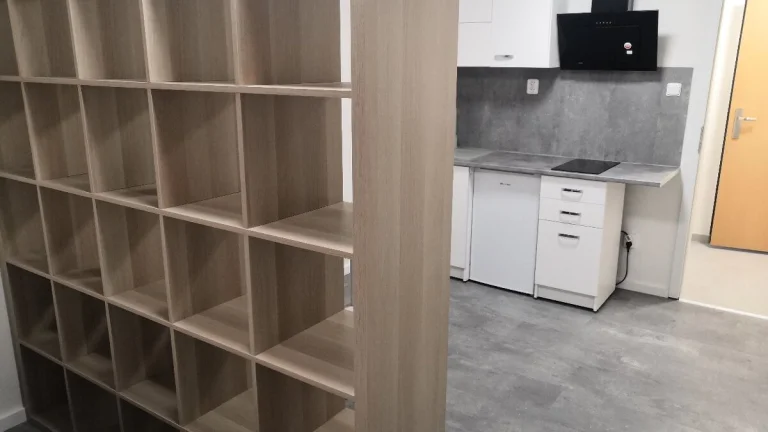 Pronajmu zařízený byt 1kk