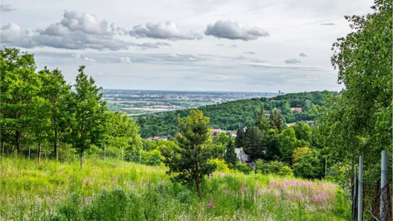 TOREA - POZEMOK NA PREDAJ - 2575 m2 - SVÄTÝ JUR, OKRES PEZIN
