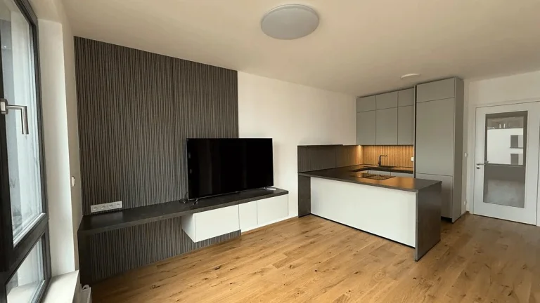 Pronájem byty 2+kk, 45 m2 - Praha - Nusle, ev.č. V3560
