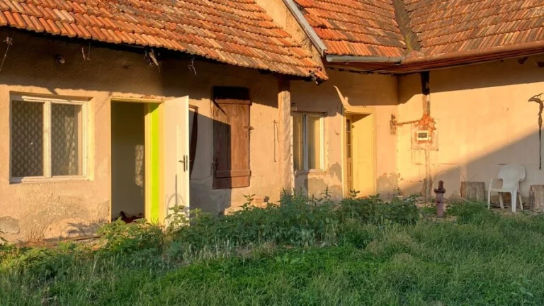 PREDÁM RD V OBCI BÁTOVCE, OKRES LEVICE