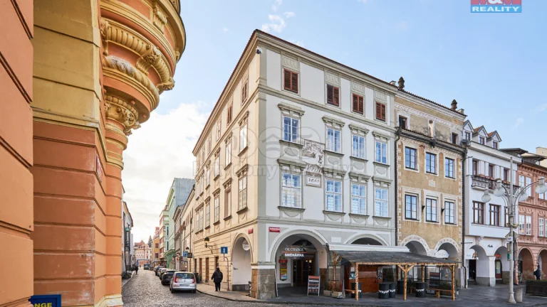 Prodej domu, 1223 m², České Budějovice, ul. Dr. Stejskala