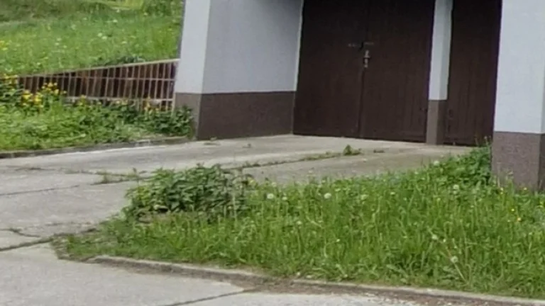 pronájem garáže