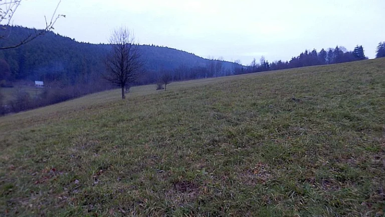Na predaj veľký pozemok v Jasenici pri Považskej Bystrici
