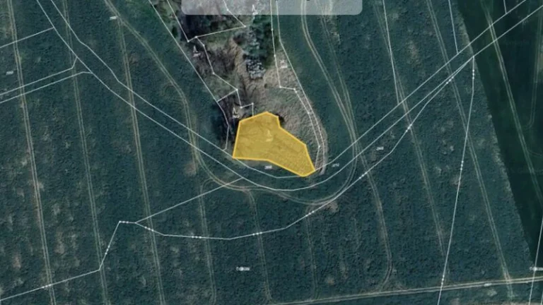 Prodej lesu v k.ú. Ronov nad Doubravou