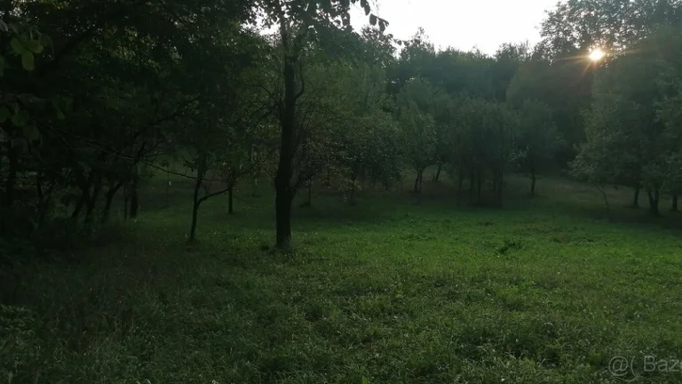 Brestovec - stavebný pozemok