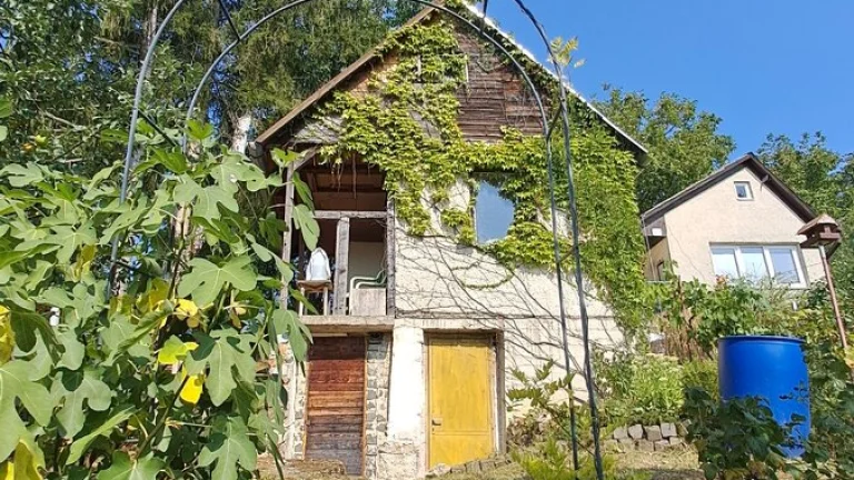 Záhrada s podpivničenou chatkou