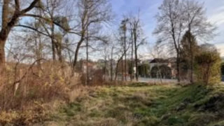 Scháním pozemek od 1m2