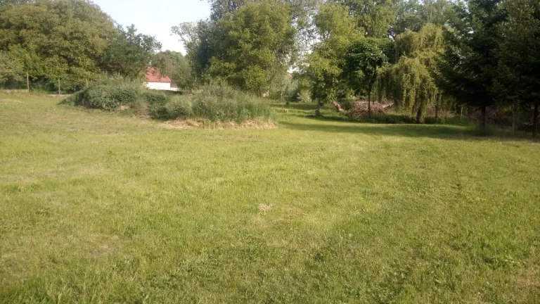 Na prodej krásný pozemek.