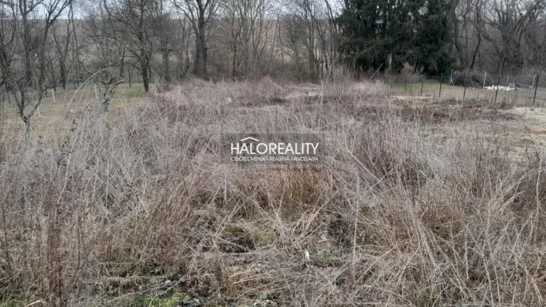 HALO reality - Predaj, pozemok pre rodinný dom 1284 m2 Dol