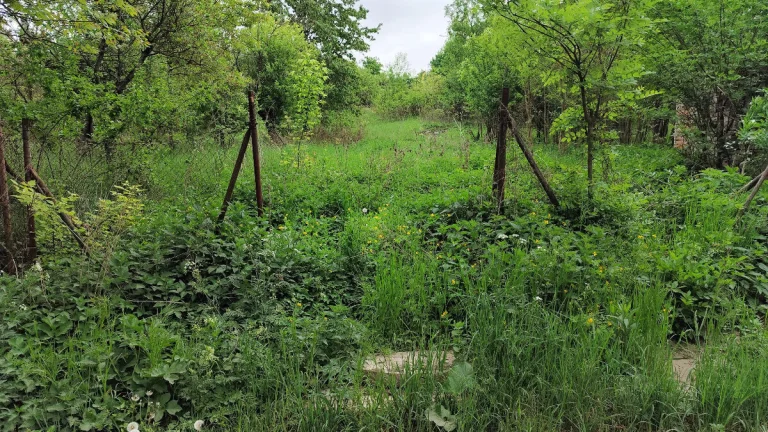 Prodej zahrady, Brněnské Ivanovice 1578 m2