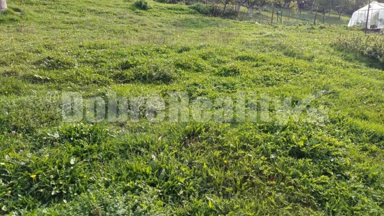 Exkluzivne predaj pozemok na výstavbu RD v obci Machulince