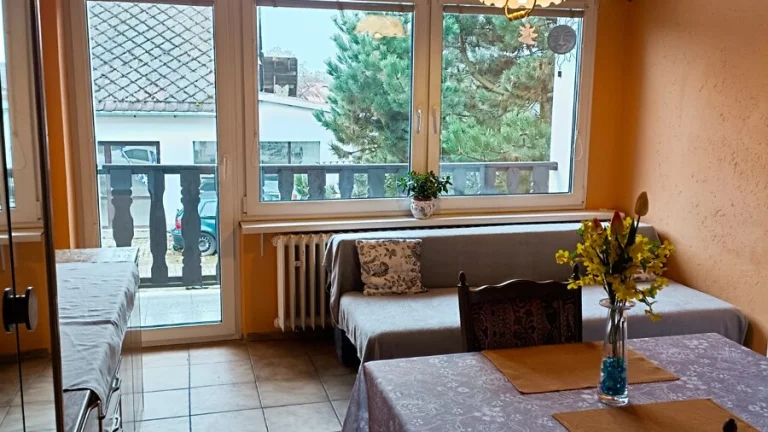 Garsoniéra s lodžií - cena včetně služeb.