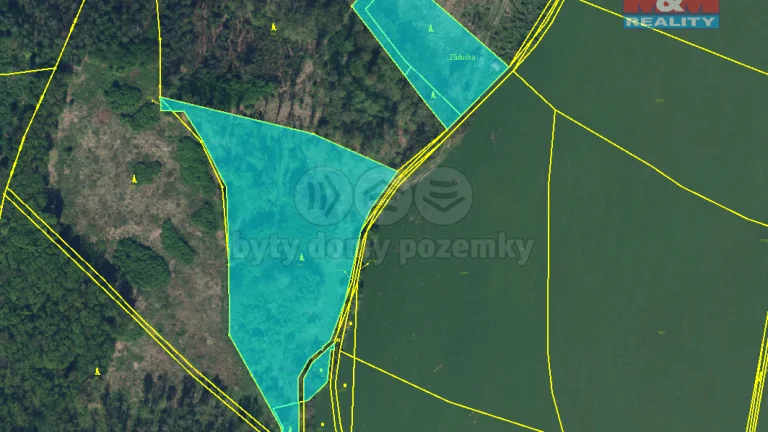Prodej lesa, 19927 m², Dobruška