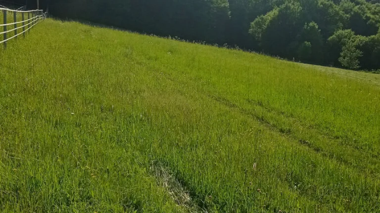 Predaj pozemku v Púchove, časť Vieska - Bezdedov