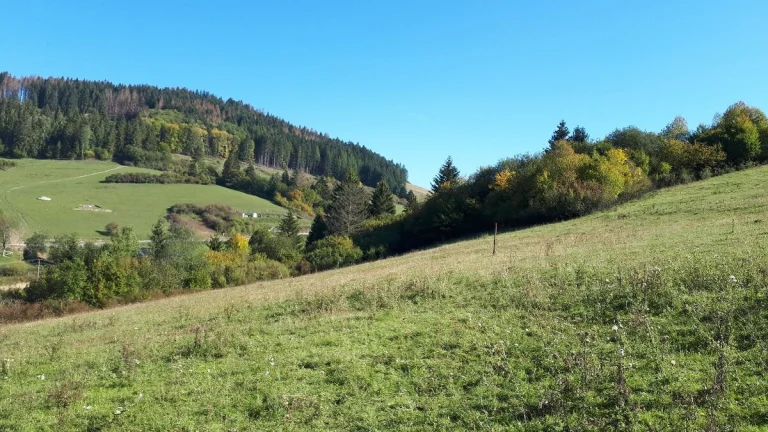 Predám pozemok 700m2 v Snežnici