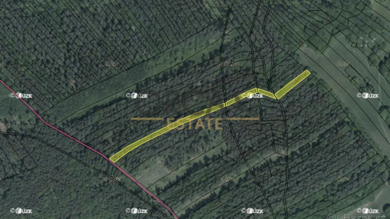 Prodej lesa Pitín, 556 m2