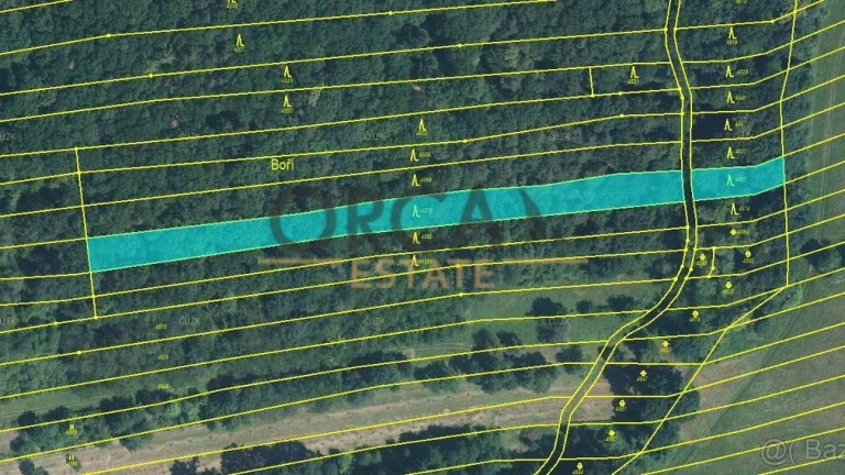0,5 ha lesních pozemků v k. ú. Hradčovice