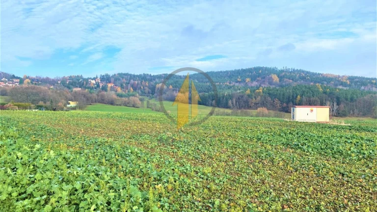 Prodej zemědělských pozemků na okraji obce Holín - Prachov