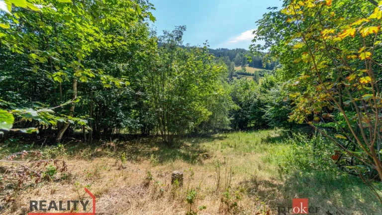 Prodej, pozemky/bydlení, 1161 m2, Hraničná, 46811 Janov nad