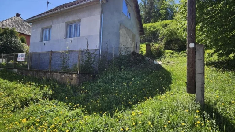 predaj domu , chalupy - Ladomerská Vieska