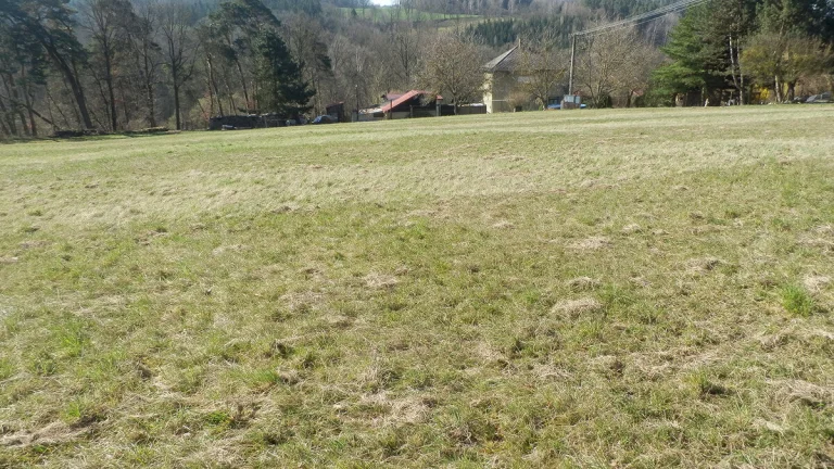 Prodej, stavební pozemek, 7 803 m2, Vojkov, okres Benešov