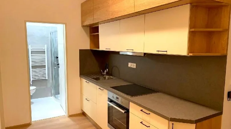 Zcela nový 2+kk, 43m2, P.7, Sternberkova