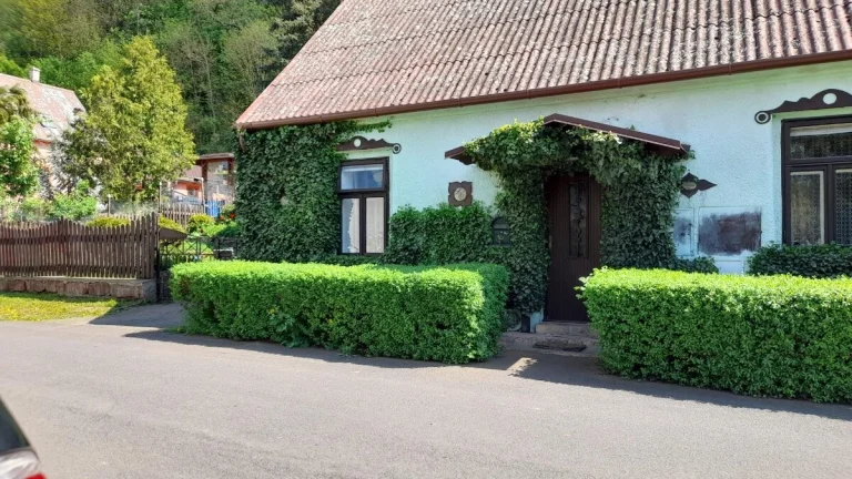 Domek se zahradou