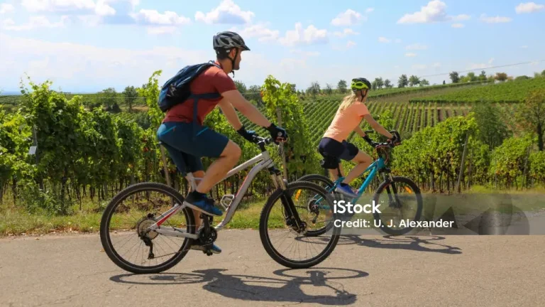 Záhrada v extravil. Žitavce, okr.Nitra, Vráble 6 km