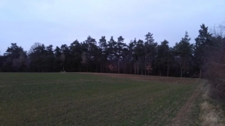 Prodám pozemek ve Vincencově