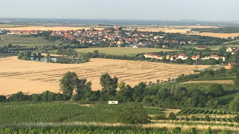 Pozemek Vinice, Jižní Morava.
