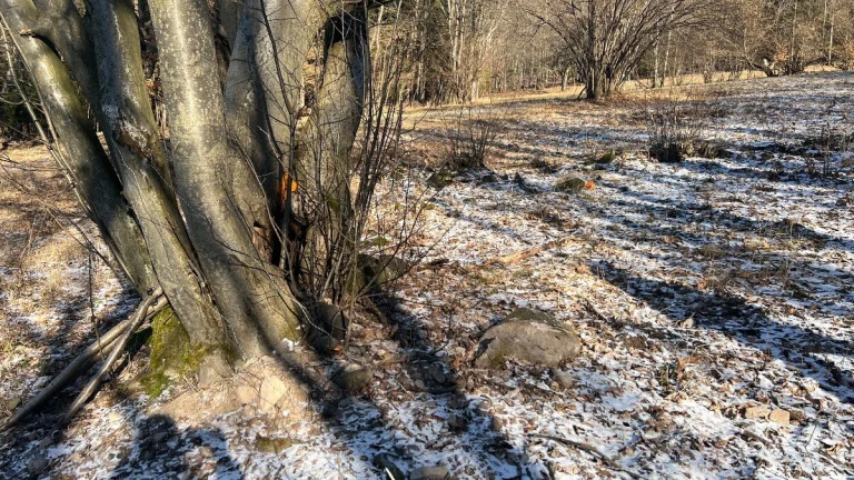 PREDAJ lesný pozemok, Chotár, Nová Baňa, 10 842 m2