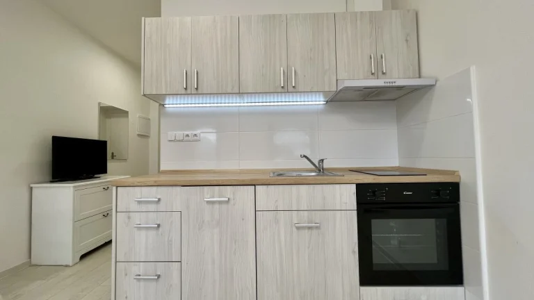 Pronájem bytu 1+kk, 28. října, Moravská Ostrava, 7900 Kč/měs