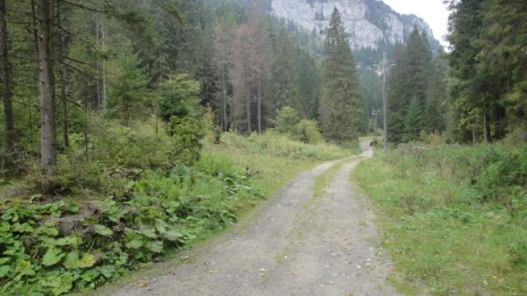 Predaj stavebného pozemku v D. Doline 8612 m2-predaj spoločn