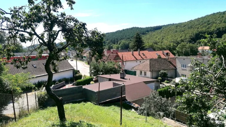 STARŠÍ DOM - ZÁHRADA - POZEMOK - CHATA.